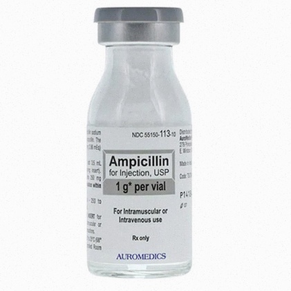 ampicillin